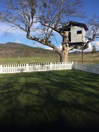 Today the british people are looking at the fence and contemplating our own final leap. 2 307 Treehouse Photos Free Royalty Free Stock Photos From Dreamstime
