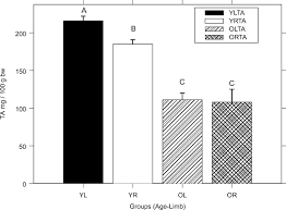 Label the picture using the words from the active vocabulary. Chronic Exposure To Stretch Shortening Contractions Results In Skeletal Muscle Adaptation In Young Rats And Maladaptation In Old Rats