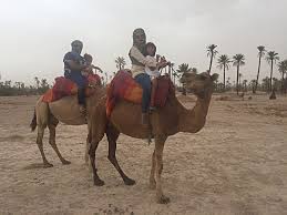 Finally, are you know how much is a camel worth in egypt?! A Step By Step Guide On Road Tripping Through Morocco With Kids The Balancing Act