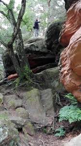 Oder info@ternell.be / www.ternell.be unsere vorfahren wussten genau, welche pflanzen sich für tisch und hausapotheke eignen. Enfallt Wanderung Rund Um Haus Ternell Durchs Getzbach Und Hilltal Pfarrei St Gregor Von Burtscheid