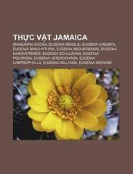 Image result for Brachythrix