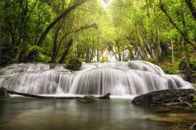 cachoeira bonita na floresta profunda cachoeira de pha tat provincia de kanchanaburi tailandia em 2020 cachoeira floresta ilha mauricia floresta profunda cachoeira de pha tat