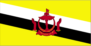 country flags brunei flag brunei flag black and white flag flags of the world
