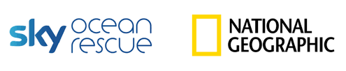 Image result for compagnie aeree 1981 2021 logo marche simbolo