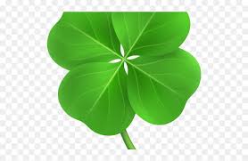 We did not find results for: Clover Png Transparent Images Four Leaf Clover Field Png Download Vhv