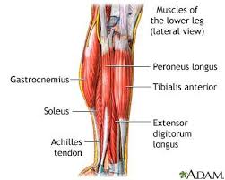Pin On Fitness