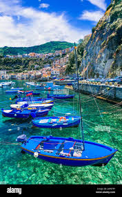 Image result for Scilla