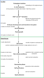 Abstractmineral nutrients are necessary for the growth and development of plants. Https D Nb Info 1181530601 34