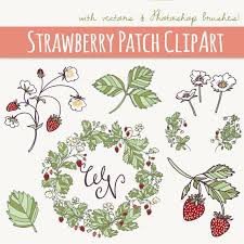 Strawberry Clip Art Photoshop Brushes Hand Drawn Elements Flowers Blossoms Foliage Fruit Berry Berries Vect Wreath Clip Art Flower Drawing Clip Art