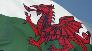 19% of the people of wales can speak welsh, according to the 2011 census. Q A The Welsh Digital Strategy And Preparing For The Next Wave Healthcare It News