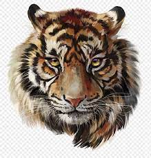 Free Download Tiger Png Tiger Painting Tiger Art Tiger Sketch
