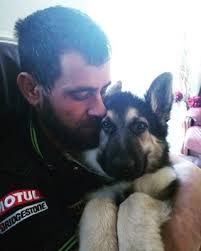 Resultado de imagen para ÑÐ¾Ð±Ð°ÐºÐ° german shepherd Ð¾Ð±ÑŠÑÑ‚Ð¸Ðµ