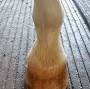 The Balanced Bare Hoof from www.balancedhoofservices.com