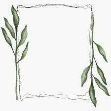 Rectangle Floral Frame Transparent Png Premium Image By Rawpixel Com Noon Png Element Decoration Illustration Design Artwork Plants Botanical Kartu