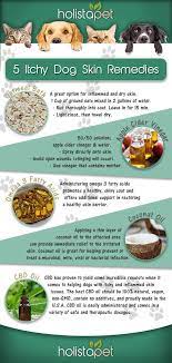 Pin On Essential Oils