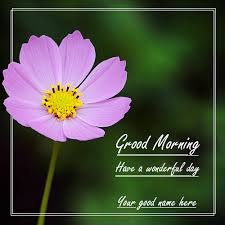 Write Name On Flower Good Morning Image Good Morning Images Morning Images Good Morning Flowers