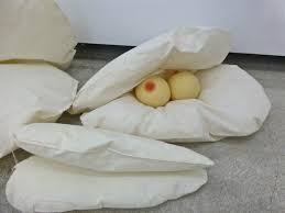 Bildergebnis für Vanessa Safavi