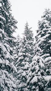 Quotes Zoom In Christmas Background Hd Iphone Wallpaper Winter Wallpaper Iphone Christmas Christmas Phone Wallpaper