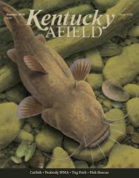 Kentucky Afield Summer 2018 By Kentucky Afield Issuu