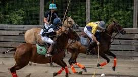 Polo & Brunch