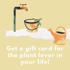 4 reasons to grow perennial plants Yano S Nursery Yanosnursery Twitter