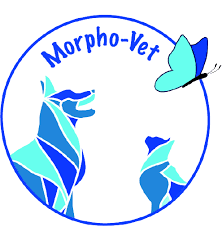 Clinique vétérinaire Morpho Vet