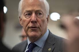 Venture capitalist David Sacks will be joining Trump administration