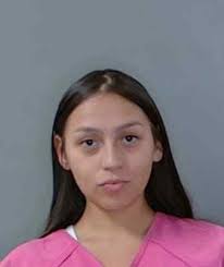 Georgetown County Inmate Search