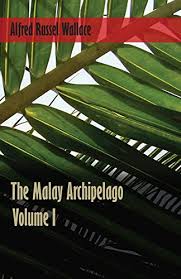 In the malay culture, the kinship term is used as one of the forms of address when speaking to others, especially when speaking to family members and close, intimate friends. Pdf The Malay Archipelago Volume 1 Ebook Top500pdf