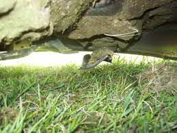 Craftsman Riding Lawn Mower Cutting Uneven Doityourself Com Community Forums