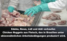 Dan is dit dé kans! Edeka Rewe Lidl Und Aldi Verkaufen Chicken Nuggets Aus Fleisch Das In Brasilien Unter Sklavenahnlichen Arbeitsbedingungen Produziert Wird Netzfrauen Netzfrauen