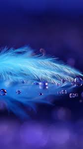 Select a beautiful wallpaper and click the yellow download button below the image. Art Background Beautiful Beauty Blue Blue Background Decor Decoration Dew Drops Feather Feathers Photo Photograph Still Life Style Wallpaper Wallpapers Water We Heart It Blue Feather Beautiful Background Beautifully Home Screen Wal