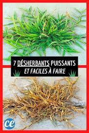 7 Recettes De Desherbants Puissants Et Faciles A Faire Recette En 2020 Desherbant Puissant Desherbant Naturel Desherbant Naturel Puissant