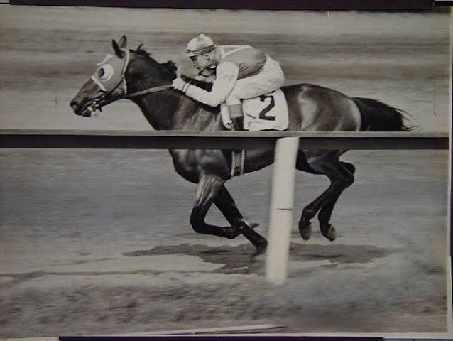 Seabiscuit: 10 interesting facts about the legendary horse | TwinSpires