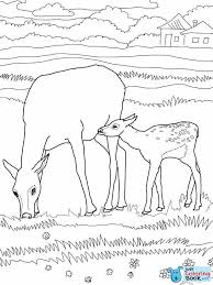 Download Mother And Baby Elk Coloring Pages Deer Coloring Pages Coloring Pages Cartoon Coloring Pages
