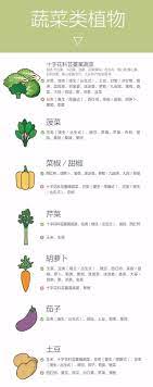 pin by shujuan wei on 种菜 fruit food cantaloupe