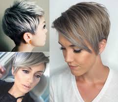 They can check these short haircuts too. Short Gray Hairstyles For Women Of All Ages Melispot