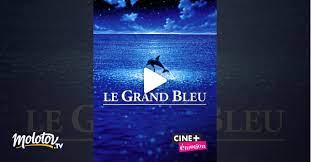 « le grand bleu », c'est l'amitié de ces deux hommes, liés définitivement à la mer. Le Grand Bleu Version Longue En Streaming Molotov Tv