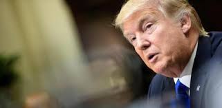 La Eurocámara pide declarar 'persona non grata' al futuro embajador de  Trump en la UE