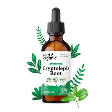 Image result for Cryptolepis