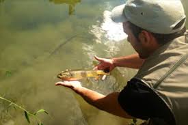 Cours Sejours Stages De Peche A La Mouche Pour Debutant Apprendre La Peche A La Mouche