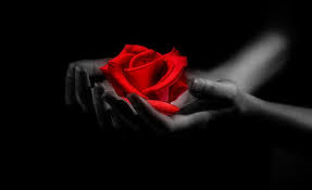 If you still single and but want to find your valentine then this is your last chance. I Love You Written In The Sky Holidays Valentine S Day Blue Landscape Hd Wallpaper Wallpaperbetter