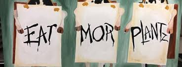 We did not find results for: Evolve Modern Vegan Kitchen Restaurant Daytona Beach Daytona Beach