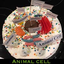 Animal cell cake project with candy. Smariesupdates On Twitter 6th Grade Science Project Plantcell Animalcell Ediblescienceproject Cake Candy Scienceproject Connectionsacad Instagood Hockeymom Https T Co Hgmgsbrwel