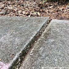 Maybe you would like to learn more about one of these? How To Fix Raised Concrete Mother Daughter Projects