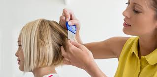 treat lice without toxic chemicals