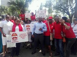 DENOSA National Page