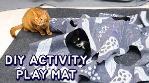 To give my indoor cats a new challenge i made them a climbing wall. Diy Cat Activity Play Mat Youtube