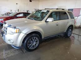 Image result for Gold Leaf 2012 Escape