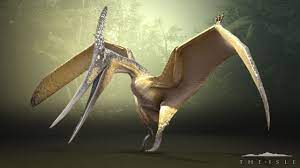The pteranodon saddle is unlocked at level 38, and costs 15 engram points. Pteranodon The Isle Wiki Fandom
